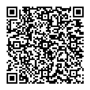 此时以崇拜或敬畏的目光注视着他们族长大人的人都看到那张从来没有什么变化的脸上露出了个淡淡的笑容二维码生成