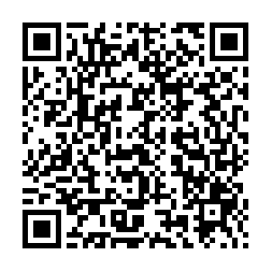 此时其实放红酒更加的浪漫 但是林晓夕记得 赵纯良不喜欢喝红酒二维码生成