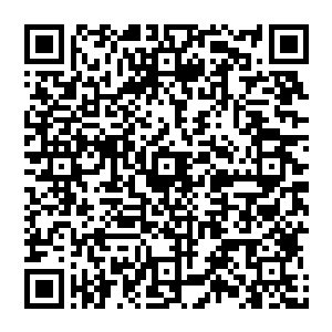 此时再听到杨晨一张嘴就提起了他们二人实际控股的金城拍卖有限公司……对于今晚这顿饭的主题二维码生成