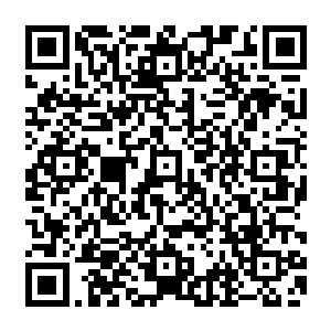此时原本笼罩方圆数百万里的巨大的变异嗜血藤的身体直接倍毁掉了将近三分之一的程度二维码生成