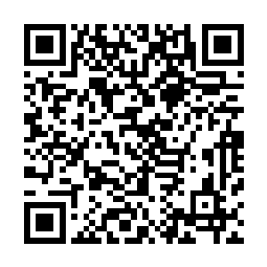 此时喻可欣还没从周狼两脚踩塌两辆小车的一幕中回过神来二维码生成