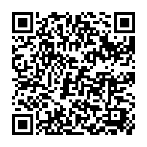 此时在宴会厅里戈尔切克斯基的助手又推进来了一个有之前三倍大的推车二维码生成
