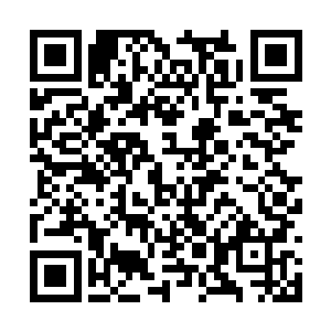 此时在旁边的何管家听了林封谨他们两人的这对白二维码生成