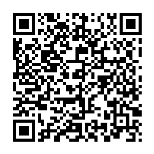 此时在这地形复杂的树林中与一些单凭热血就来救人的绿林武者厮杀二维码生成