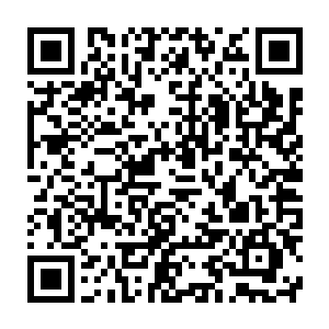 此时在龙宫的大门前正有着几十个修士在那里研究着大门上的阵法禁制二维码生成