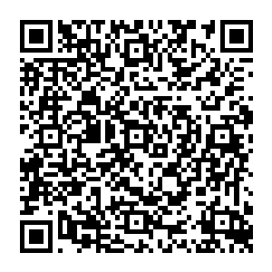 此时天眼打开 这禁制顿时不再是透明 而是散发着淡淡的光芒 犹如一张棋盘 而他就是棋盘之上的一颗棋子二维码生成