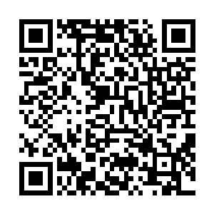 此时对于即将到来的县十二届县人民代表大会第六次会议二维码生成