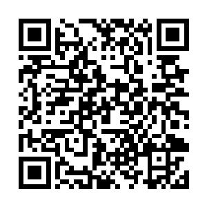 此时已经是受了重伤的血无涯甚至没来得及反应过来二维码生成
