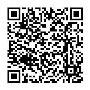 此时已经有苍灵剑气和利爪锋芒互相轰击所形成的的气劲撕扯而来二维码生成