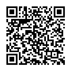 此时已经过上次原始森林一战已经过去了半个月二维码生成