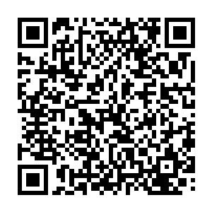 此时收掌已经来不及了……只是秦方此刻好像完全没有看到他这一掌似的二维码生成