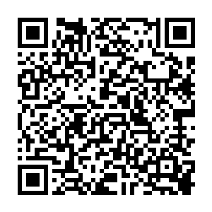 此时整个会客室估计所有人都再次认识了王世子这家伙的胆子还当真是足够大的二维码生成