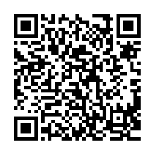 此时整个绿草门和阵地门整体实力都在发生着翻天覆地的变化二维码生成