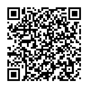 此时杨戬在他们心中的地位也是再一次达到了一个更加恐怖的高度二维码生成