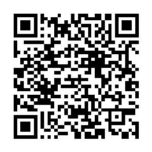 此时杨戬的全部的精力都放到了凤火舞体内的毒素上面二维码生成