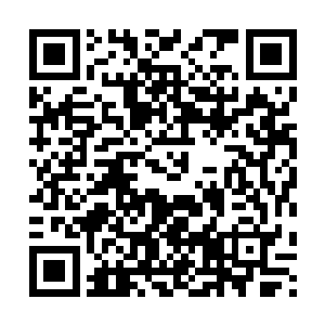 此时林封谨他们一行人可以说是已经到了内玺陵当中的核心地带二维码生成