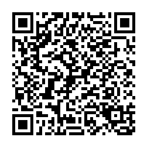 此时林封谨估计这家伙应该是拿自己的小造化丹去看看妖怪的反应了二维码生成