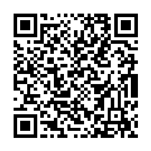 此时林封谨又继续探索了这处腐朽而宽广的宫殿数百丈之后二维码生成