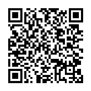 此时林封谨已经将上一世野猪拿手的武器开天斧还给了他二维码生成