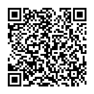 此时正在和阿斯兰皇家学院院长以及一些科学界的权威畅谈他们的项目二维码生成