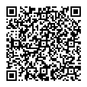 此时此刻的赵长枪已经完全忘记了他父亲赵天龙是这个世界上唯一一个有可能给他提供骨髓配体的人二维码生成