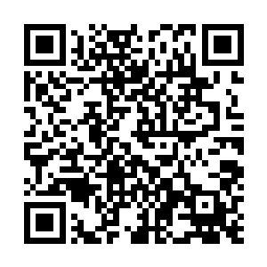 此时此刻绍布似乎已经完全忘记了流殇还在季疏云不远处二维码生成