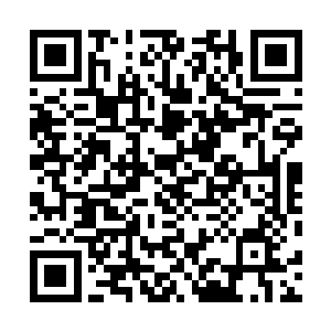 此时洪涛已经从卧室的包里找出一条短裤帮伊丽萨换上了二维码生成