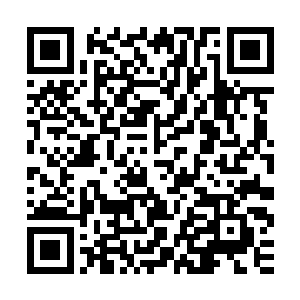此时电视正在播放哈飞汽车商务会议在红旗饭店盛大开幕的新闻二维码生成