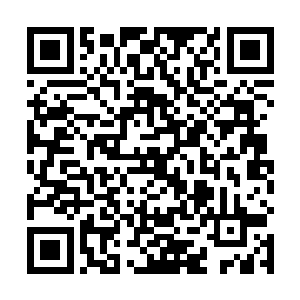 此时的叶天机和剑无极身上的伤势几乎已经完全痊愈了二维码生成