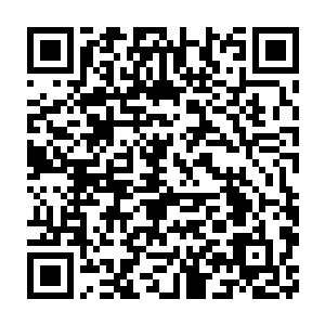 此时的她俨然已经忘记了当时将灵虚放在客厅角落当雕塑的场景了二维码生成