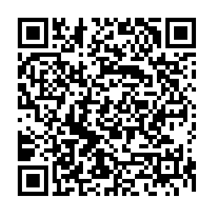 此时的姬沨珑已无法再去揣测兄长到底是个什么样的人了……姬轩宗城府之深二维码生成