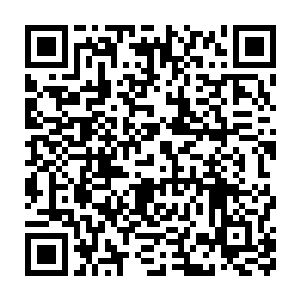 此时的建木巨妖的本体比之前的时候龙傲天见到的再一次高了数倍二维码生成