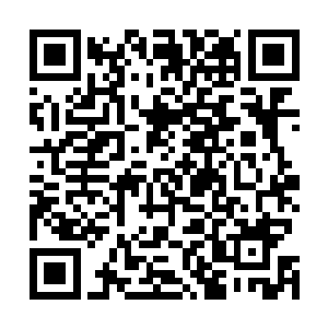 此时的李枫已经完全没有了之前的那种嚣张跋扈的神态了二维码生成