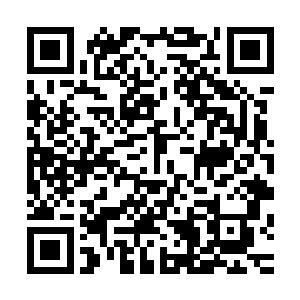 此时的杨戬根本就不知道他已经引起了整个杨家的高层的震动二维码生成