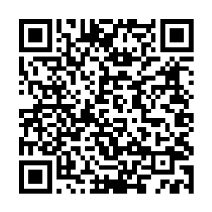 此时的林封谨还真的有几分怀念野猪和他的开天斧来二维码生成