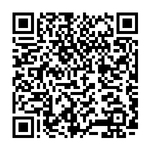 此时的洪剑门的门主和副门主此时真的是太好奇夏天究竟在九鼎门做了什么事了二维码生成