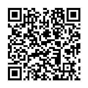 此时的青火宗的修士已经完全被连绵不绝的妖兽给包围了二维码生成