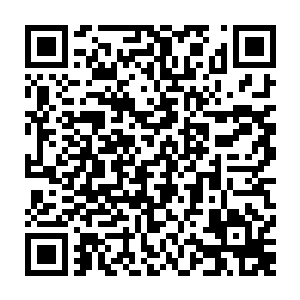此时盗贼工会内部的几大长老还有盗贼工会的会长孙海天正在为这件事展开商议二维码生成