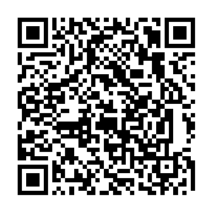 此时离大军的五十多米的路程在他们眼中仿佛隔了一道不可逾越的天堑一般二维码生成
