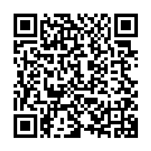 此时统领者们已经把在隔壁房间下了催眠粉的其他猿人们弄醒了二维码生成
