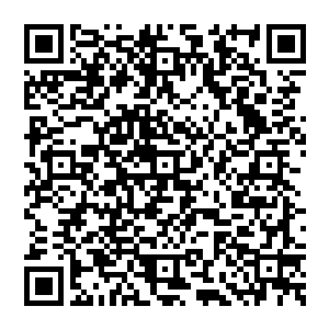 此时苹果公司正凭借水果糖设计的iMac第一代台式电脑和iBook笔记本电脑重新杀回了美国个人电脑市场并站稳了脚跟二维码生成