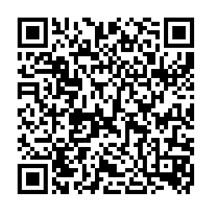 此时蛮荒圣殿化作一座恐怖的巨大的宫殿牢牢的将黑色的虚影笼罩了起来二维码生成