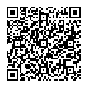 此时见他一身狼狈 被无数藤条缠绕 心头瞬间火气 目光一转 像是熊熊大火燃烧二维码生成