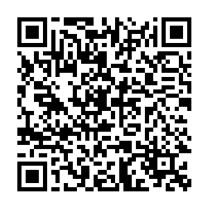 此时许琴扬的力量和淡月舞的力量正联合在一起对抗着血琴的能量二维码生成