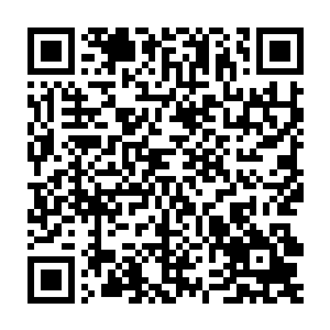 此时距离张生发现第一例撒那特斯病毒感染者已经过去了近两个月二维码生成