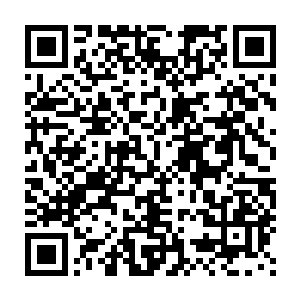 此时龙傲天表现出来的恐怖的实力令他们也是感受到了一股深深的无力二维码生成