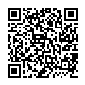 此树实际是隐藏在了荒古圣地的一个极为特殊的空间之内二维码生成