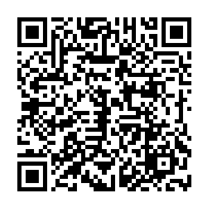 此次是在余江面前撒泼才争到了率领第一批援军北上易县城应援的拼命差遣二维码生成