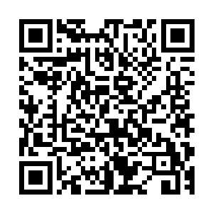 此次莫林来到瀚海城如此高调的进行测试便是由他一手安排的二维码生成