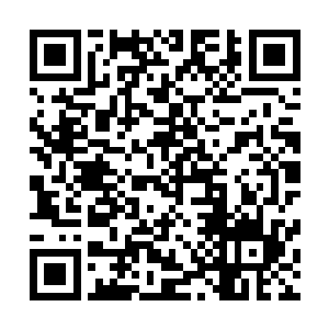 此次起事的总筹划人卢定芳已经被吕定芳跟张克强给抓起来二维码生成